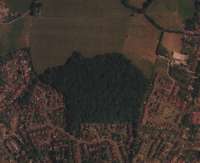 An air photo taken in 2000